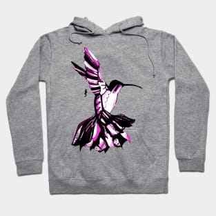 Flamenco Hummingbird Hoodie